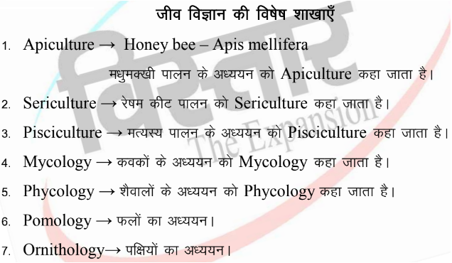 Free Download Biology Notes Hindi PDF| जीव विज्ञान के बहुत ही महत्वपूर्ण नोट्स