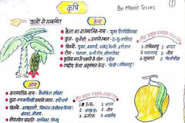 Indian Agriculture Notes in Hindi PDF, भारतीय कृषि से सबंधित महत्वपूर्ण जानकारिया इस पीडीऍफ़ के साथ