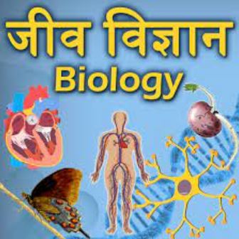  Branches of Biology In Hindi (जिव विज्ञान की शाखाएँ)